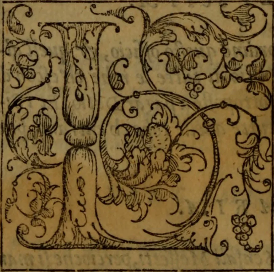 An illustration from Del governo de regni et delle republiche antiche et moderne, 1567, leaf 371