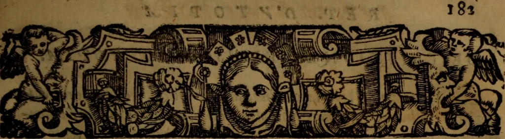 An illustration from Del governo de regni et delle republiche antiche et moderne, 1567, leaf 382