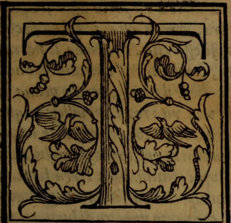 An illustration from Del governo de regni et delle republiche antiche et moderne, 1567, leaf 382