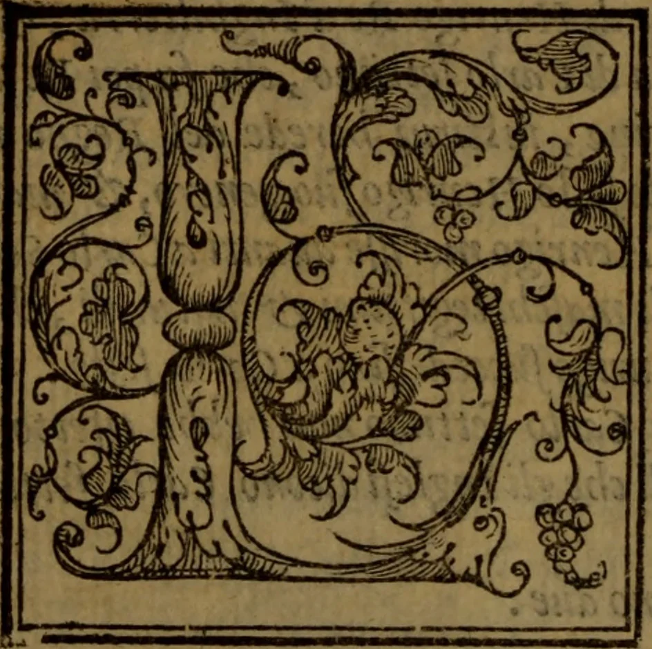An illustration from Del governo de regni et delle republiche antiche et moderne, 1567, leaf 55