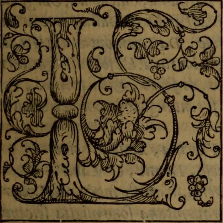 An illustration from Del governo de regni et delle republiche antiche et moderne, 1567, leaf 62
