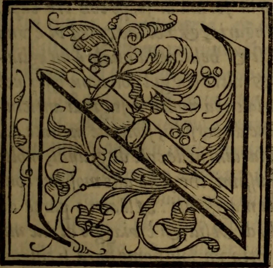 An illustration from Del governo de regni et delle republiche antiche et moderne, 1567, leaf 92