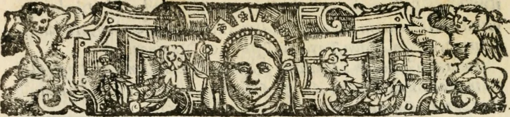 An illustration from Del governo et amministratione di diversi regni et repvbliche, cosi antiche come moderne, 1578, leaf 107