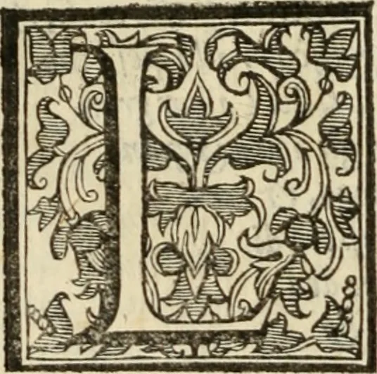 An illustration from Del governo et amministratione di diversi regni et repvbliche, cosi antiche come moderne, 1578, leaf 107