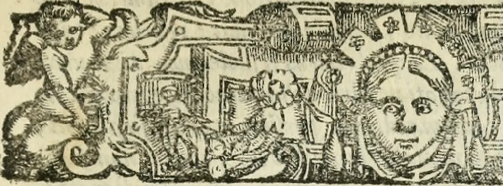 An illustration from Del governo et amministratione di diversi regni et repvbliche, cosi antiche come moderne, 1578, leaf 176