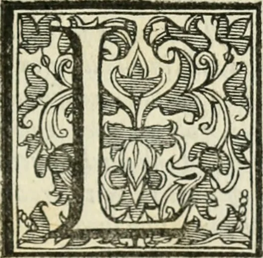 An illustration from Del governo et amministratione di diversi regni et repvbliche, cosi antiche come moderne, 1578, leaf 176