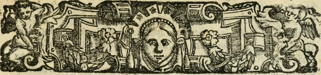 An illustration from Del governo et amministratione di diversi regni et repvbliche, cosi antiche come moderne, 1578, leaf 234