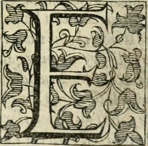 An illustration from Del governo et amministratione di diversi regni et repvbliche, cosi antiche come moderne, 1578, leaf 234
