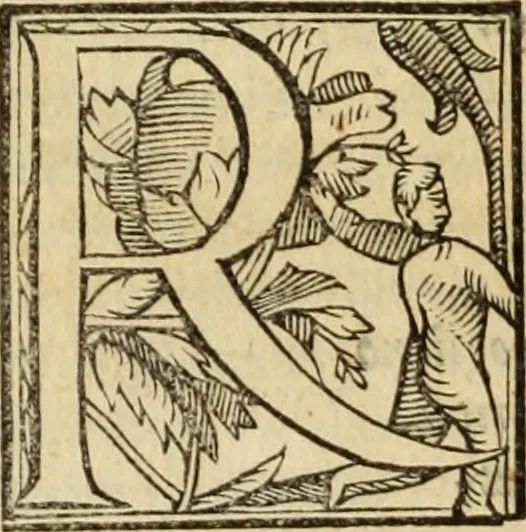 An illustration from Del governo et amministratione di diversi regni et repvbliche, cosi antiche come moderne, 1578, leaf 239