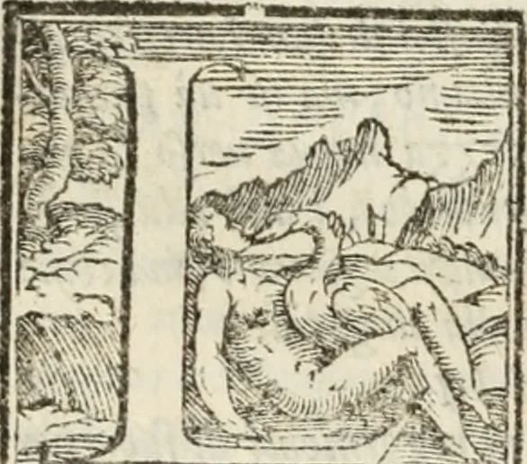 An illustration from Del governo et amministratione di diversi regni et repvbliche, cosi antiche come moderne, 1578, leaf 247