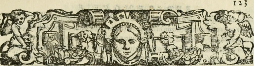 An illustration from Del governo et amministratione di diversi regni et repvbliche, cosi antiche come moderne, 1578, leaf 262