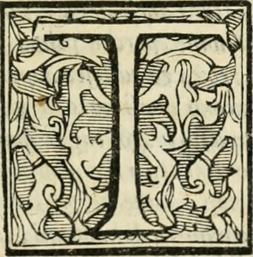 An illustration from Del governo et amministratione di diversi regni et repvbliche, cosi antiche come moderne, 1578, leaf 380