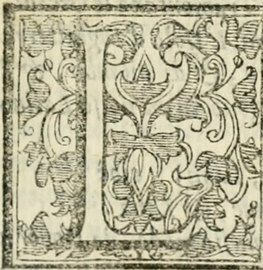An illustration from Del governo et amministratione di diversi regni et repvbliche, cosi antiche come moderne, 1578, leaf 60