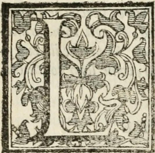 An illustration from Del governo et amministratione di diversi regni et repvbliche, cosi antiche come moderne, 1578, leaf 83