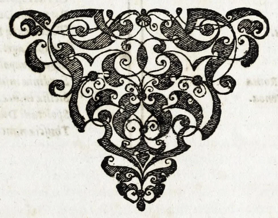 An illustration from Deliciae Italiae et index viatorius : indicans itinera ab vrbe Roma ad omnes in Italia, aliquas quoque extra Italiam civitates et oppida : quorum indicantur deliciae, sive quid in eorum singulis delicati, rari visuque digni sit : nempe templa ob structuram magnifica, delubra ob artem spectanda, palatia aedificiaque ob amplitudinem praeclara, picturae excellentium artificium, statuae eleganter sculptae, quicquid praeterea vbique in Italia, vel antiquitate rarum vel arte praeclarum est ... : huic libello visum fuit addere tabellas geographicas Italiae aliquarumque circa ipsam insularum ..., 1603, leaf 11