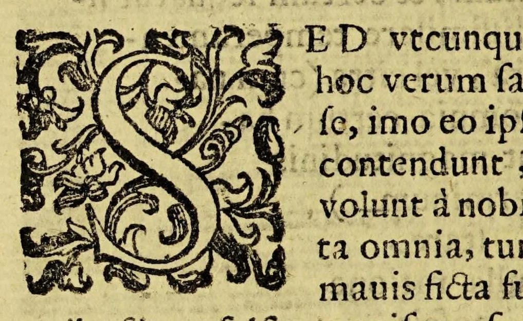 An illustration from De ligno sancto commentarium : in quo praecipuae qualitates eius & facultates omnes exacta diligentia exprimuntur, ex illisq[ue] lignum quoddam, quod nuper in Italiam delatum est, pseudolignum sanctum esse, & nullo modo verum, eius fautoribus accurato examine demonstratur. /Demetrio Canevario philosopho, et medico patricio genuensi auctore, 1602, leaf 120