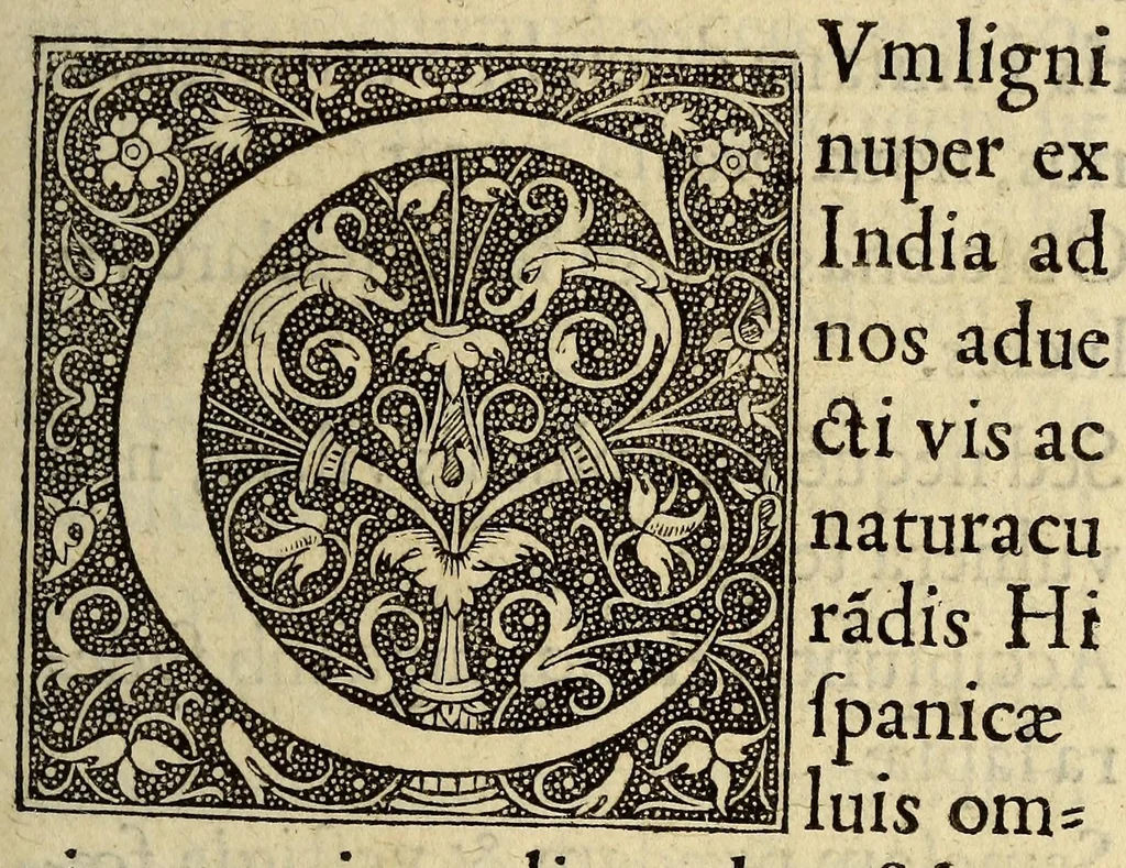 An illustration from De ligno sancto non permiscendo,, 1540, leaf 9