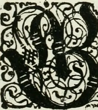 An illustration from Delineatio provinciarum Pannoniae et Imperii Turcici in Oriente : eine grundrichtige Beschreibung dess ganzen Aufgangs, sonderlich aber dess hochlöblichen Königreichs Ungarn, und der ganzen Türckey ..., 1684, leaf 10