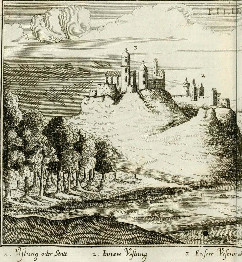 An illustration from Delineatio provinciarum Pannoniae et Imperii Turcici in Oriente : eine grundrichtige Beschreibung dess ganzen Aufgangs, sonderlich aber dess hochlöblichen Königreichs Ungarn, und der ganzen Türckey ..., 1684, leaf 109