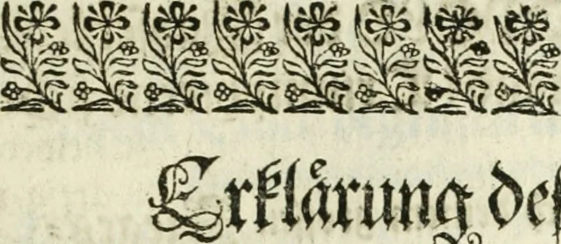 An illustration from Delineatio provinciarum Pannoniae et Imperii Turcici in Oriente : eine grundrichtige Beschreibung dess ganzen Aufgangs, sonderlich aber dess hochlöblichen Königreichs Ungarn, und der ganzen Türckey ..., 1684, leaf 12