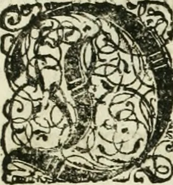 An illustration from Delineatio provinciarum Pannoniae et Imperii Turcici in Oriente : eine grundrichtige Beschreibung dess ganzen Aufgangs, sonderlich aber dess hochlöblichen Königreichs Ungarn, und der ganzen Türckey ..., 1684, leaf 12