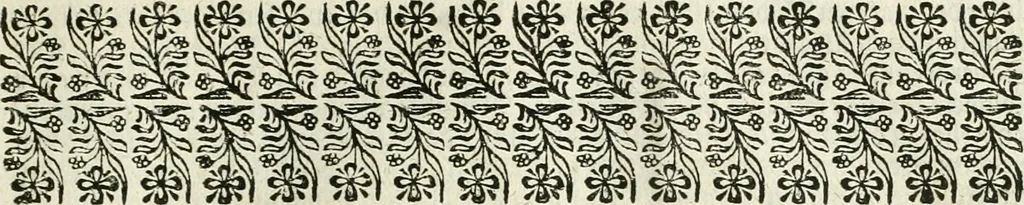 An illustration from Delineatio provinciarum Pannoniae et Imperii Turcici in Oriente : eine grundrichtige Beschreibung dess ganzen Aufgangs, sonderlich aber dess hochlöblichen Königreichs Ungarn, und der ganzen Türckey ..., 1684, leaf 18