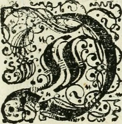 An illustration from Delineatio provinciarum Pannoniae et Imperii Turcici in Oriente : eine grundrichtige Beschreibung dess ganzen Aufgangs, sonderlich aber dess hochlöblichen Königreichs Ungarn, und der ganzen Türckey ..., 1684, leaf 18
