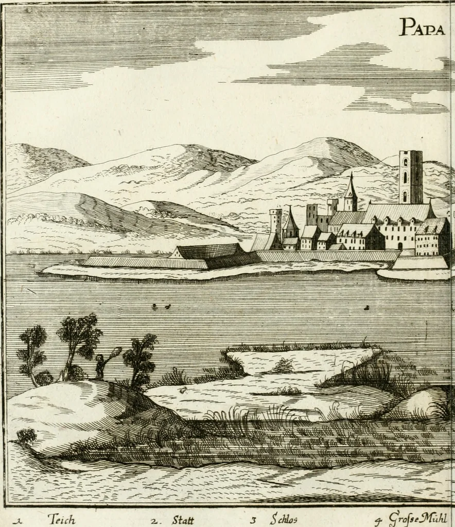An illustration from Delineatio provinciarum Pannoniae et Imperii Turcici in Oriente : eine grundrichtige Beschreibung dess ganzen Aufgangs, sonderlich aber dess hochlöblichen Königreichs Ungarn, und der ganzen Türckey ..., 1684, leaf 39