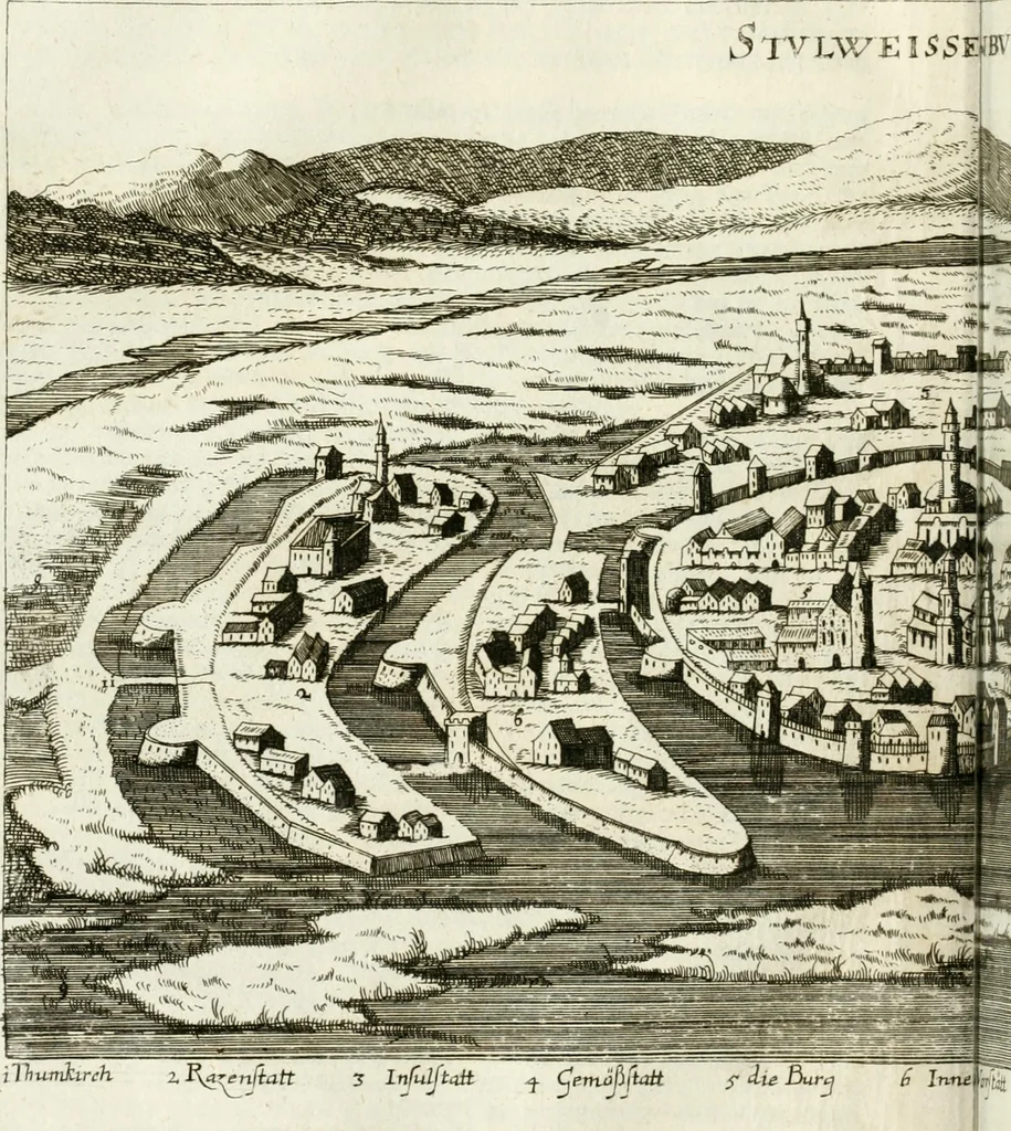 An illustration from Delineatio provinciarum Pannoniae et Imperii Turcici in Oriente : eine grundrichtige Beschreibung dess ganzen Aufgangs, sonderlich aber dess hochlöblichen Königreichs Ungarn, und der ganzen Türckey ..., 1684, leaf 49