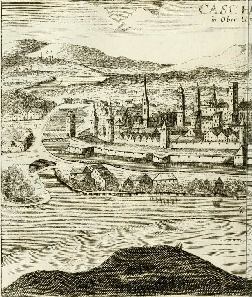 An illustration from Delineatio provinciarum Pannoniae et Imperii Turcici in Oriente : eine grundrichtige Beschreibung dess ganzen Aufgangs, sonderlich aber dess hochlöblichen Königreichs Ungarn, und der ganzen Türckey ..., 1684, leaf 65