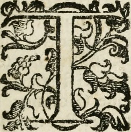 An illustration from Della architettura di Gioseffe Viola Zanini padouano pittore & architetto libri due, ne'quali con nuoua simmetria & facoltà si mostrano le giuste regole de i cinque ordini di detta architettura, & osseruationi de'più eccellenti architetti, che in quella habbiano dato ammaestramenti... Aggiuntoui di nuouo il modo di leuar il fumo alli camini, si fatti, come da farsi da Andrea Minorelli.., 1677, leaf 10