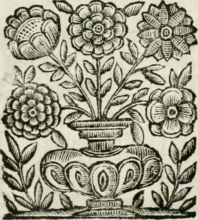 An illustration from Della architettura di Gioseffe Viola Zanini padouano pittore & architetto libri due, ne'quali con nuoua simmetria & facoltà si mostrano le giuste regole de i cinque ordini di detta architettura, & osseruationi de'più eccellenti architetti, che in quella habbiano dato ammaestramenti... Aggiuntoui di nuouo il modo di leuar il fumo alli camini, si fatti, come da farsi da Andrea Minorelli.., 1677, leaf 190