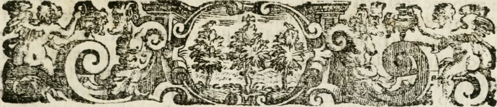 An illustration from Della architettura di Gioseffe Viola Zanini padouano pittore & architetto libri due, ne'quali con nuoua simmetria & facoltà si mostrano le giuste regole de i cinque ordini di detta architettura, & osseruationi de'più eccellenti architetti, che in quella habbiano dato ammaestramenti... Aggiuntoui di nuouo il modo di leuar il fumo alli camini, si fatti, come da farsi da Andrea Minorelli.., 1677, leaf 192