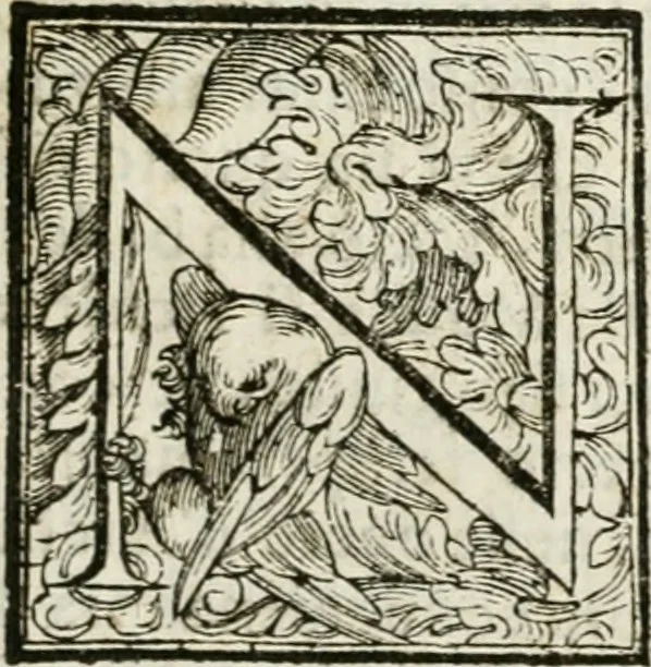 An illustration from Della architettura di Gioseffe Viola Zanini padouano pittore & architetto libri due, ne'quali con nuoua simmetria & facoltà si mostrano le giuste regole de i cinque ordini di detta architettura, & osseruationi de'più eccellenti architetti, che in quella habbiano dato ammaestramenti... Aggiuntoui di nuouo il modo di leuar il fumo alli camini, si fatti, come da farsi da Andrea Minorelli.., 1677, leaf 192