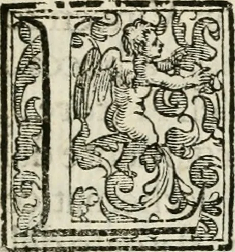 An illustration from Della architettura di Gioseffe Viola Zanini padouano pittore & architetto libri due, ne'quali con nuoua simmetria & facoltà si mostrano le giuste regole de i cinque ordini di detta architettura, & osseruationi de'più eccellenti architetti, che in quella habbiano dato ammaestramenti... Aggiuntoui di nuouo il modo di leuar il fumo alli camini, si fatti, come da farsi da Andrea Minorelli.., 1677, leaf 8