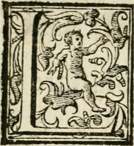 An illustration from Della architettura di Gioseffe Viola Zanini padouano pittore & architetto libri due, ne'quali con nuoua simmetria & facoltà si mostrano le giuste regole de i cinque ordini di detta architettura, & osseruationi de'più eccellenti architetti, che in quella habbiano dato ammaestramenti... Aggiuntoui di nuouo il modo di leuar il fumo alli camini, si fatti, come da farsi da Andrea Minorelli.., 1677, leaf 9