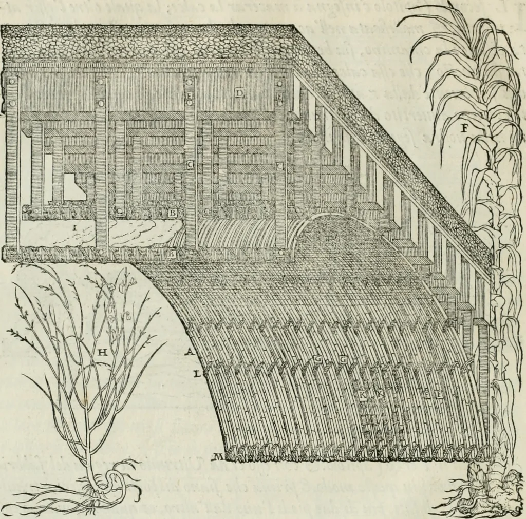 An illustration from Della architettvra, 1590, leaf 117