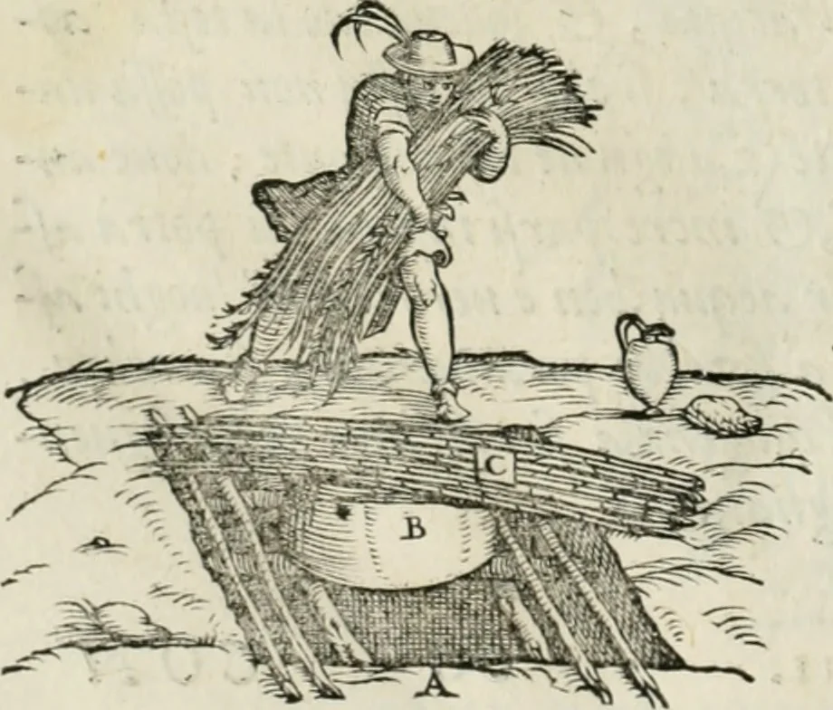 An illustration from Della architettvra, 1590, leaf 133