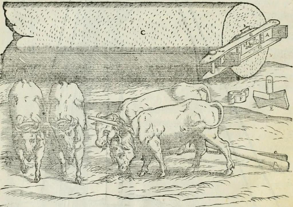 An illustration from Della architettvra, 1590, leaf 151