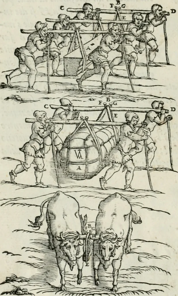 An illustration from Della architettvra, 1590, leaf 155