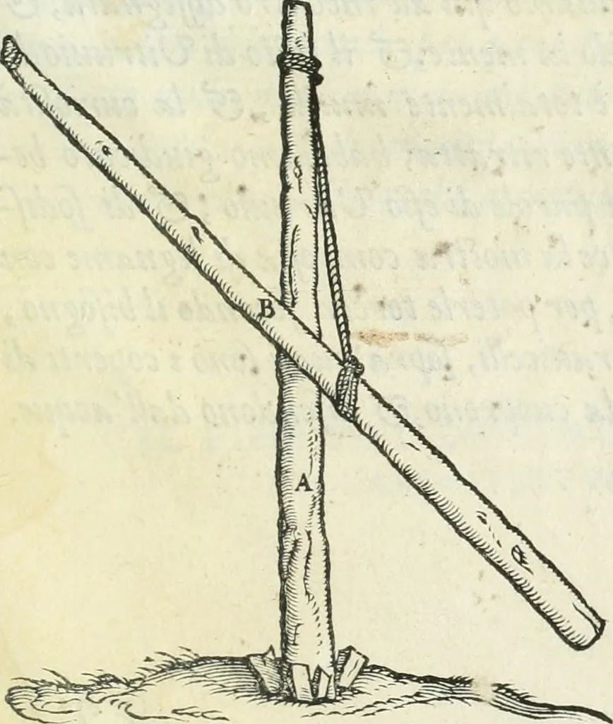 An illustration from Della architettvra, 1590, leaf 156