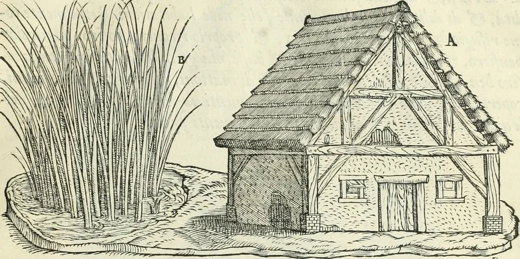 An illustration from Della architettvra, 1590, leaf 44