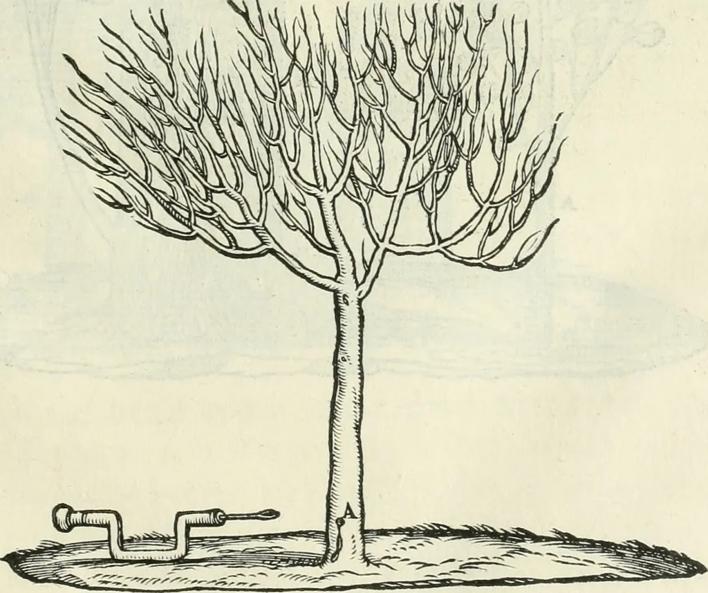 An illustration from Della architettvra, 1590, leaf 56
