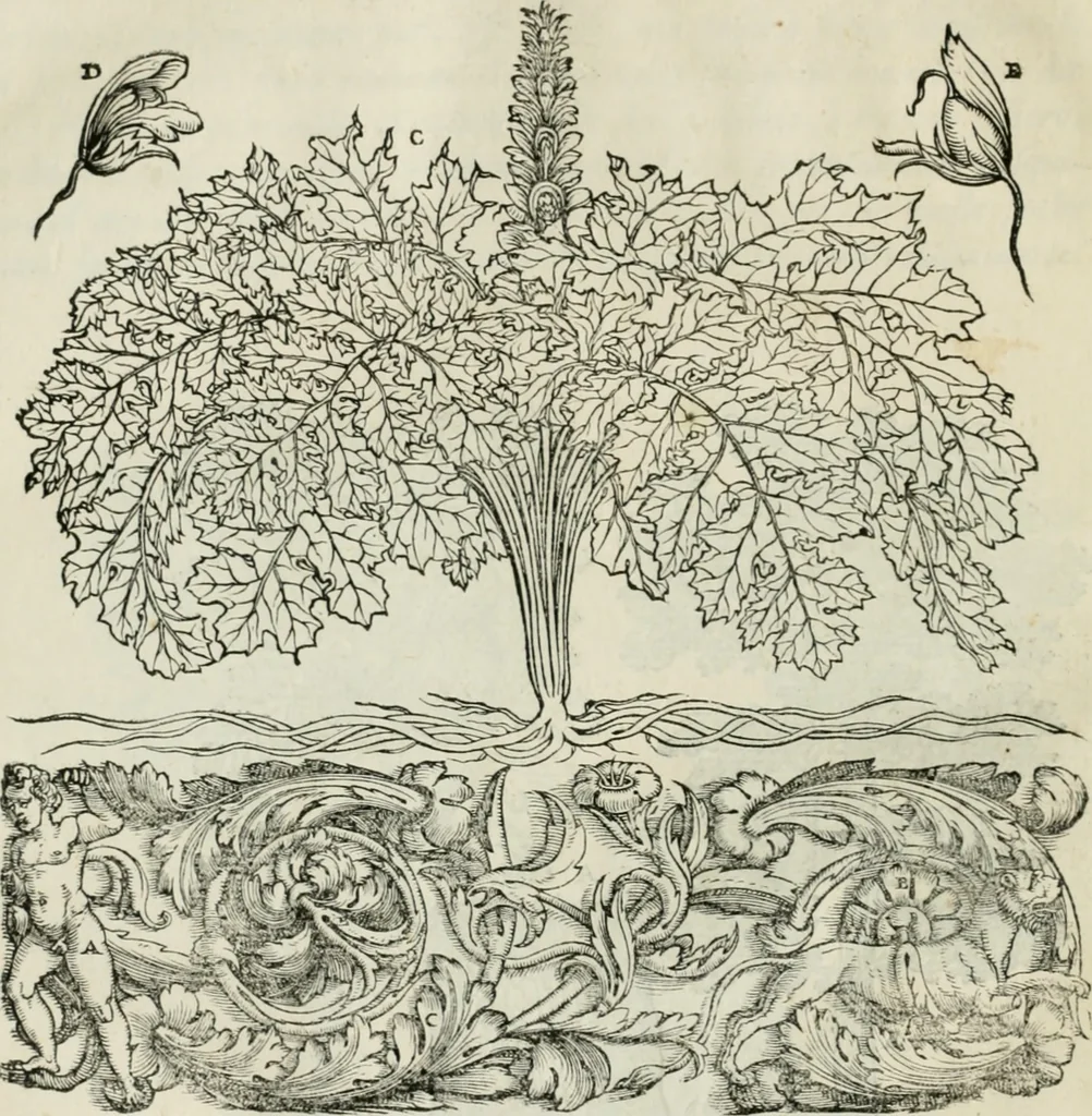 An illustration from Della architettvra, 1590, leaf 59