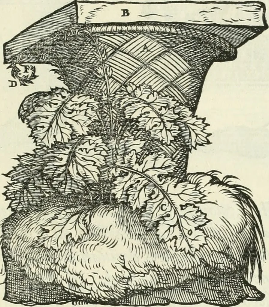 An illustration from Della architettvra, 1590, leaf 86