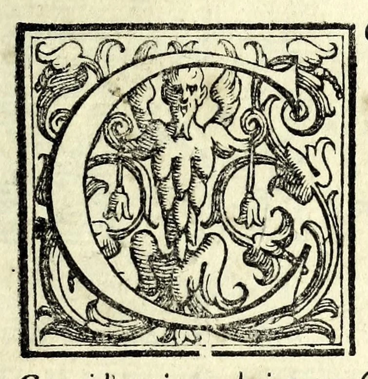 An illustration from Della caccia. Poema, 1591, leaf 17