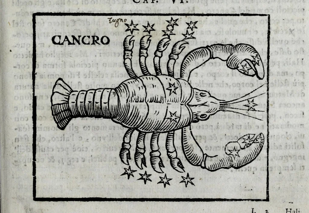 An illustration from Della celeste fisonomia di Gio. Battista della Porta Napoletano, libri sei : nei quali ributtata la vanità dell'astrologia giudiciaria, si dà maniera di essattamente conoscere per via delle cause naturali tutto quello, che l'aspetto, la presenza, & le fattezze de gl'huomini possono fisicamente significare, e promettere : opera noua, & piena di dotta curiosità, 1616, leaf 101