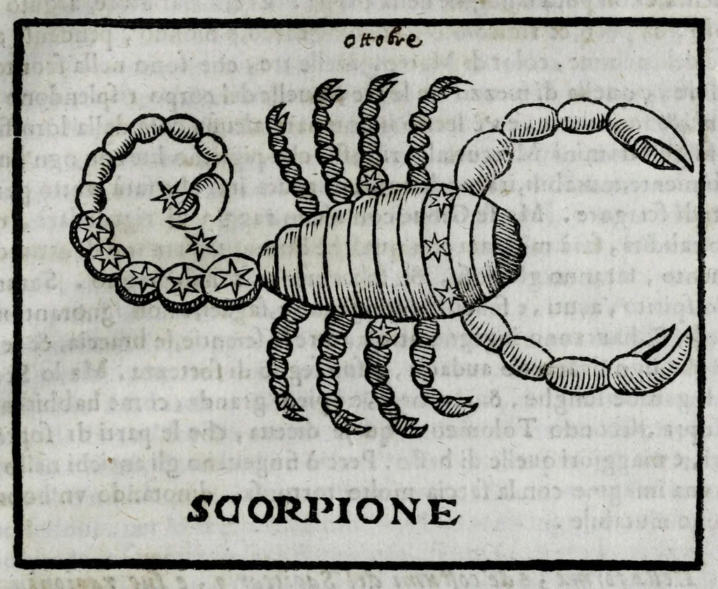 An illustration from Della celeste fisonomia di Gio. Battista della Porta Napoletano, libri sei : nei quali ributtata la vanità dell'astrologia giudiciaria, si dà maniera di essattamente conoscere per via delle cause naturali tutto quello, che l'aspetto, la presenza, & le fattezze de gl'huomini possono fisicamente significare, e promettere : opera noua, & piena di dotta curiosità, 1616, leaf 109