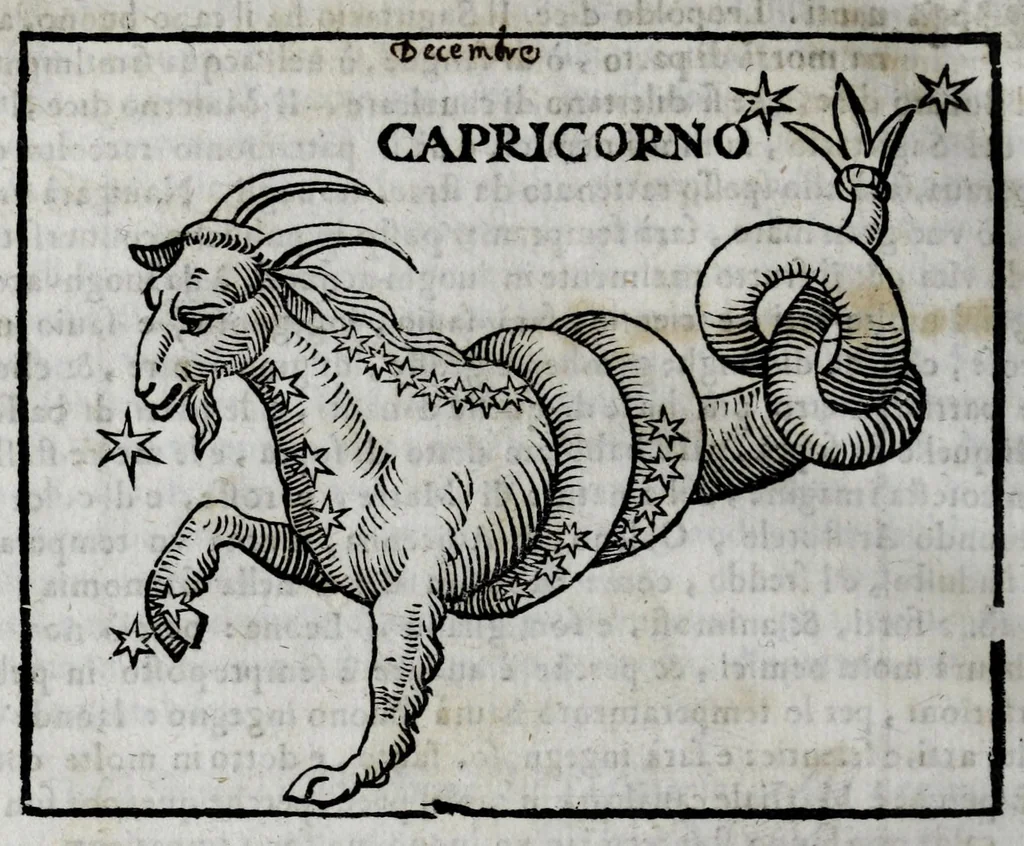 An illustration from Della celeste fisonomia di Gio. Battista della Porta Napoletano, libri sei : nei quali ributtata la vanità dell'astrologia giudiciaria, si dà maniera di essattamente conoscere per via delle cause naturali tutto quello, che l'aspetto, la presenza, & le fattezze de gl'huomini possono fisicamente significare, e promettere : opera noua, & piena di dotta curiosità, 1616, leaf 112