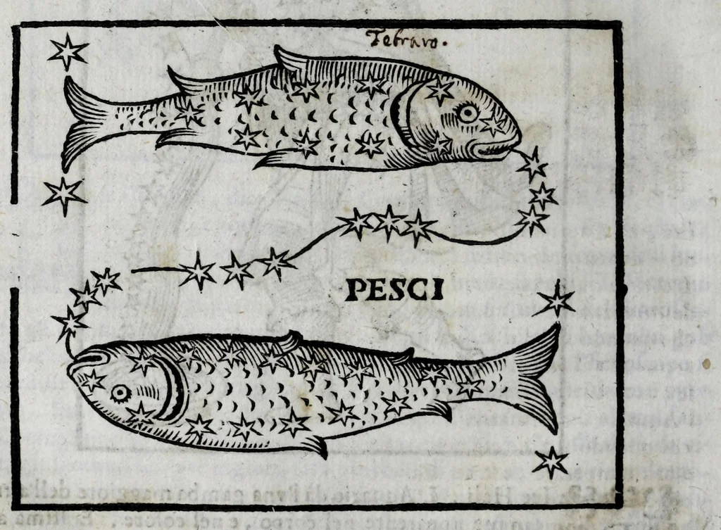 An illustration from Della celeste fisonomia di Gio. Battista della Porta Napoletano, libri sei : nei quali ributtata la vanità dell'astrologia giudiciaria, si dà maniera di essattamente conoscere per via delle cause naturali tutto quello, che l'aspetto, la presenza, & le fattezze de gl'huomini possono fisicamente significare, e promettere : opera noua, & piena di dotta curiosità, 1616, leaf 114